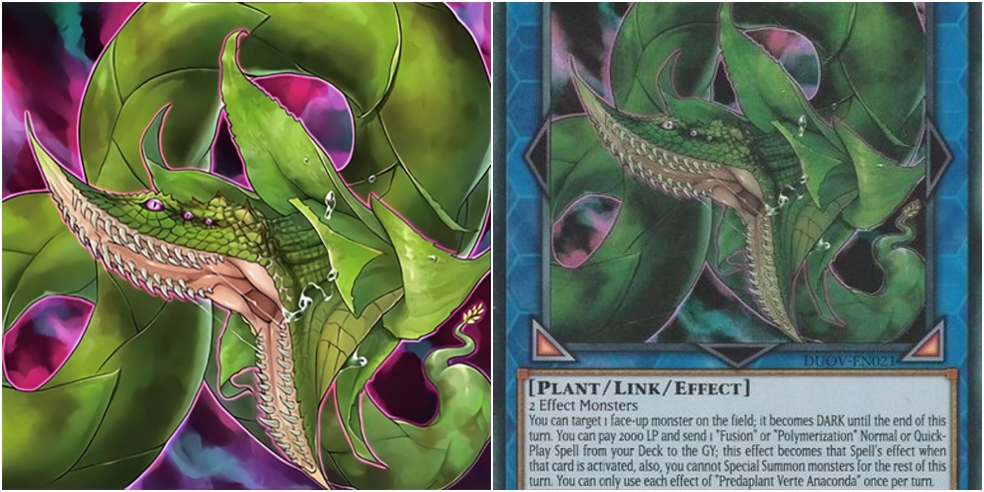 yugioh predaplant verte anaconda card art and text