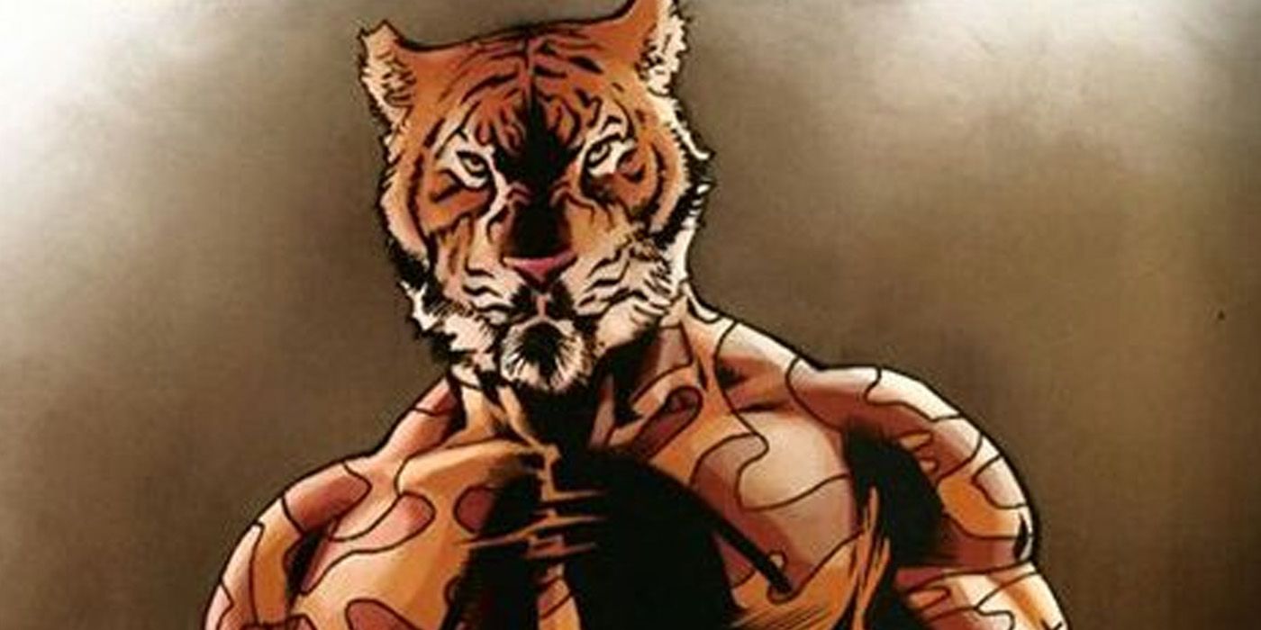 DC video game characters 3 bronze tiger
