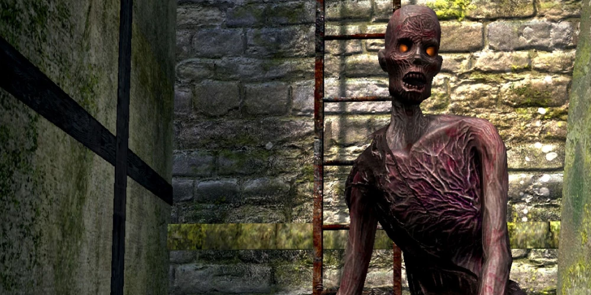 Dark Souls Hollow