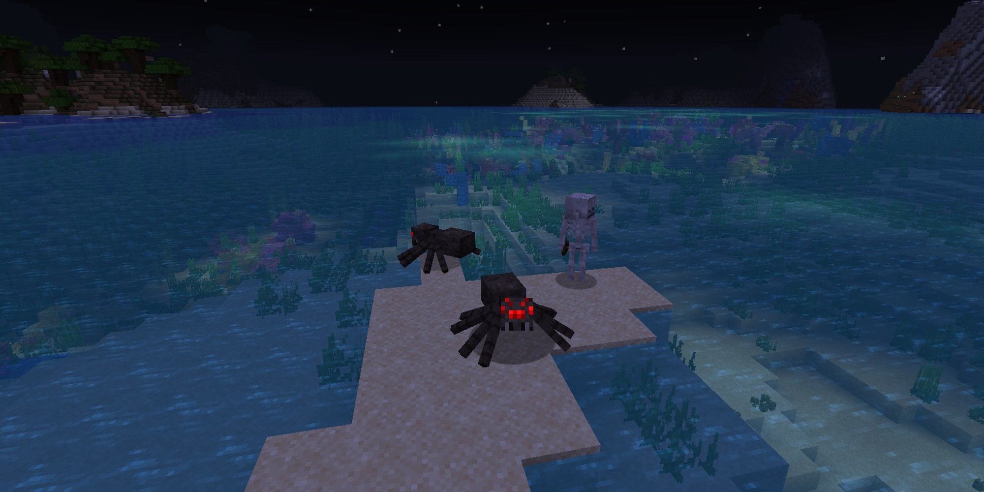 two spiders and a skeleton spawned on small sand island within coral reef