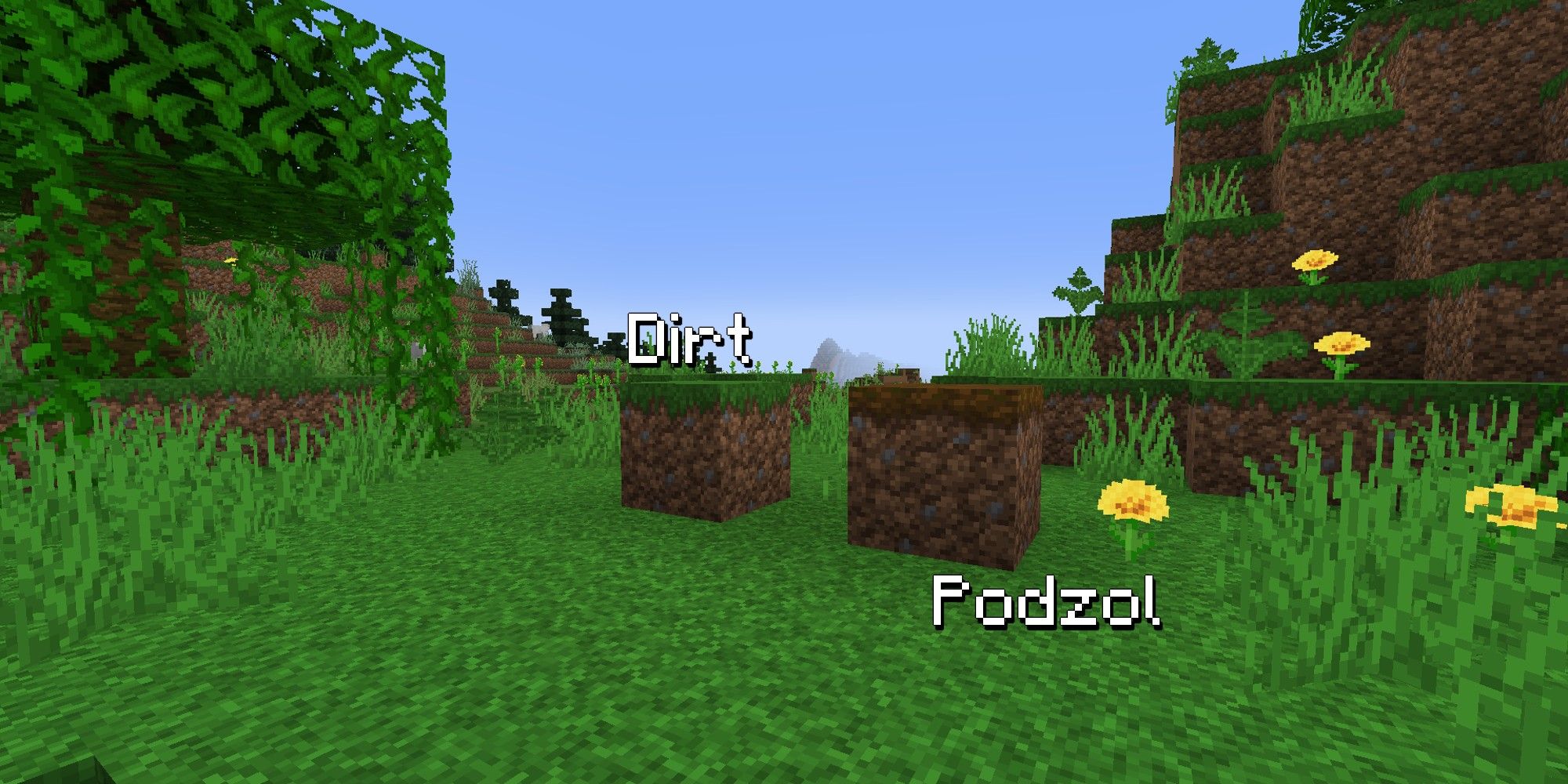 podzol and dirt comparison