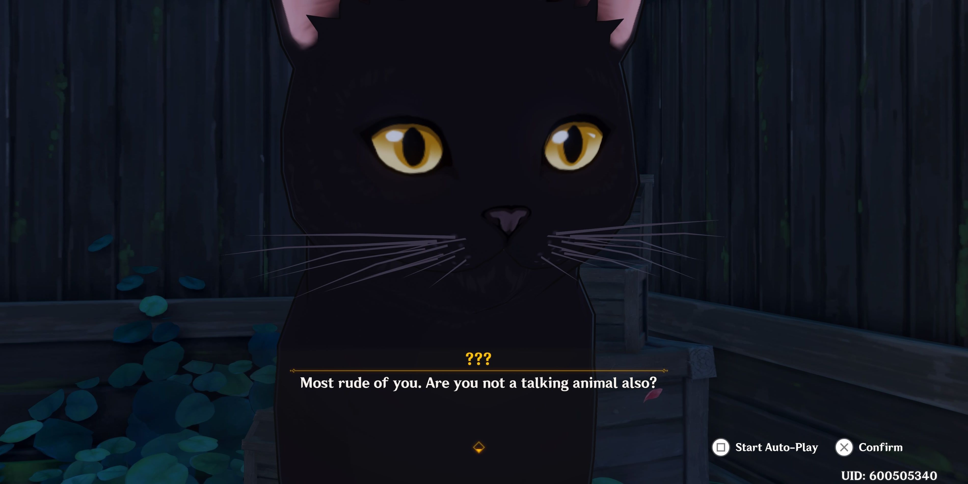 Neko in Genshin Impact