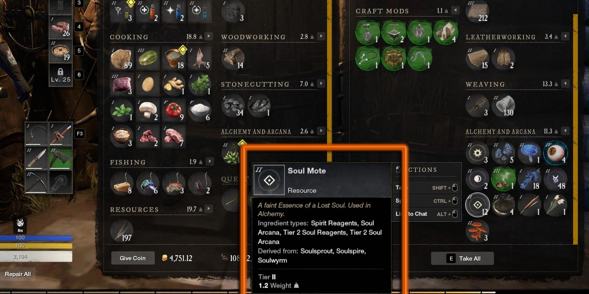 New World Soul Mote In Inventory