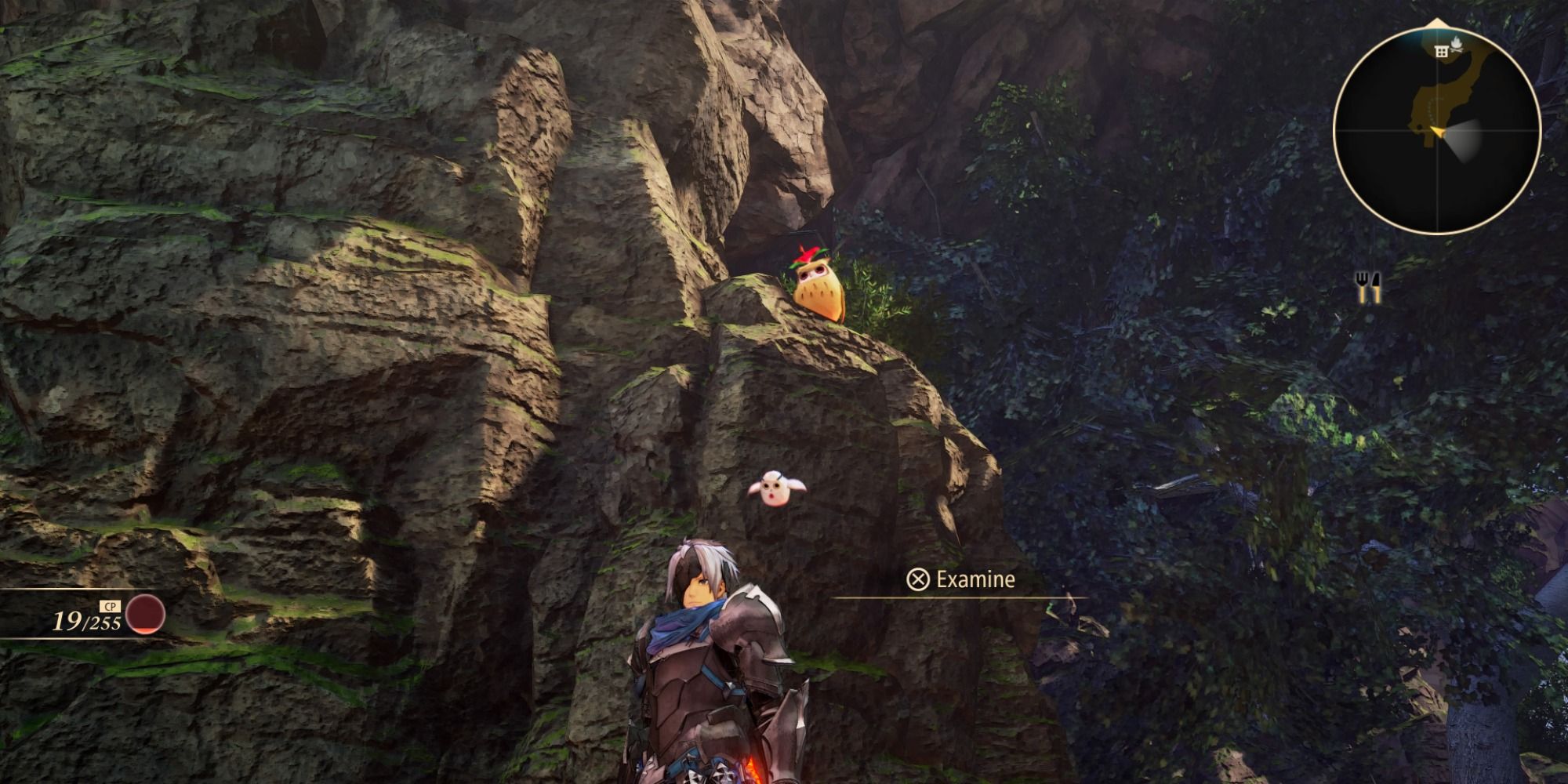 Overseer Hill Owl location in Tales of Arise