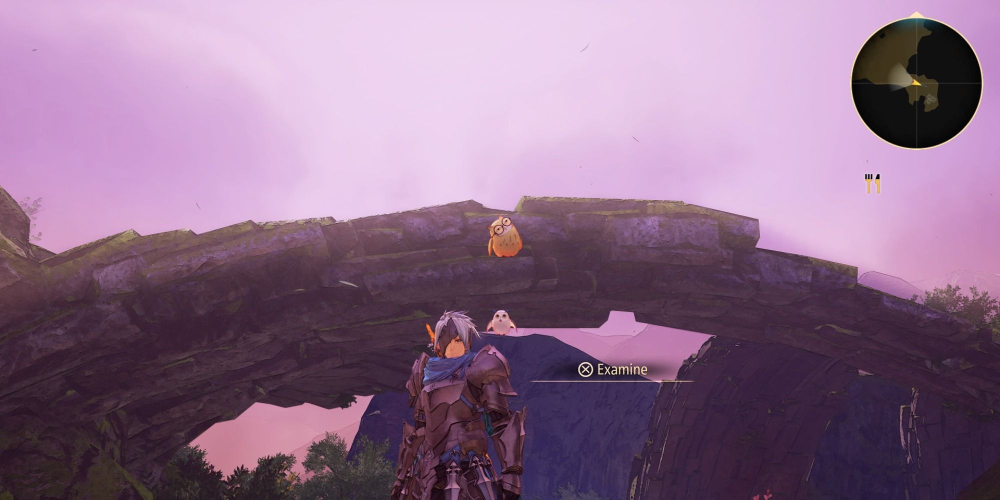 Tietal Plain Owl location in Tales of Arise