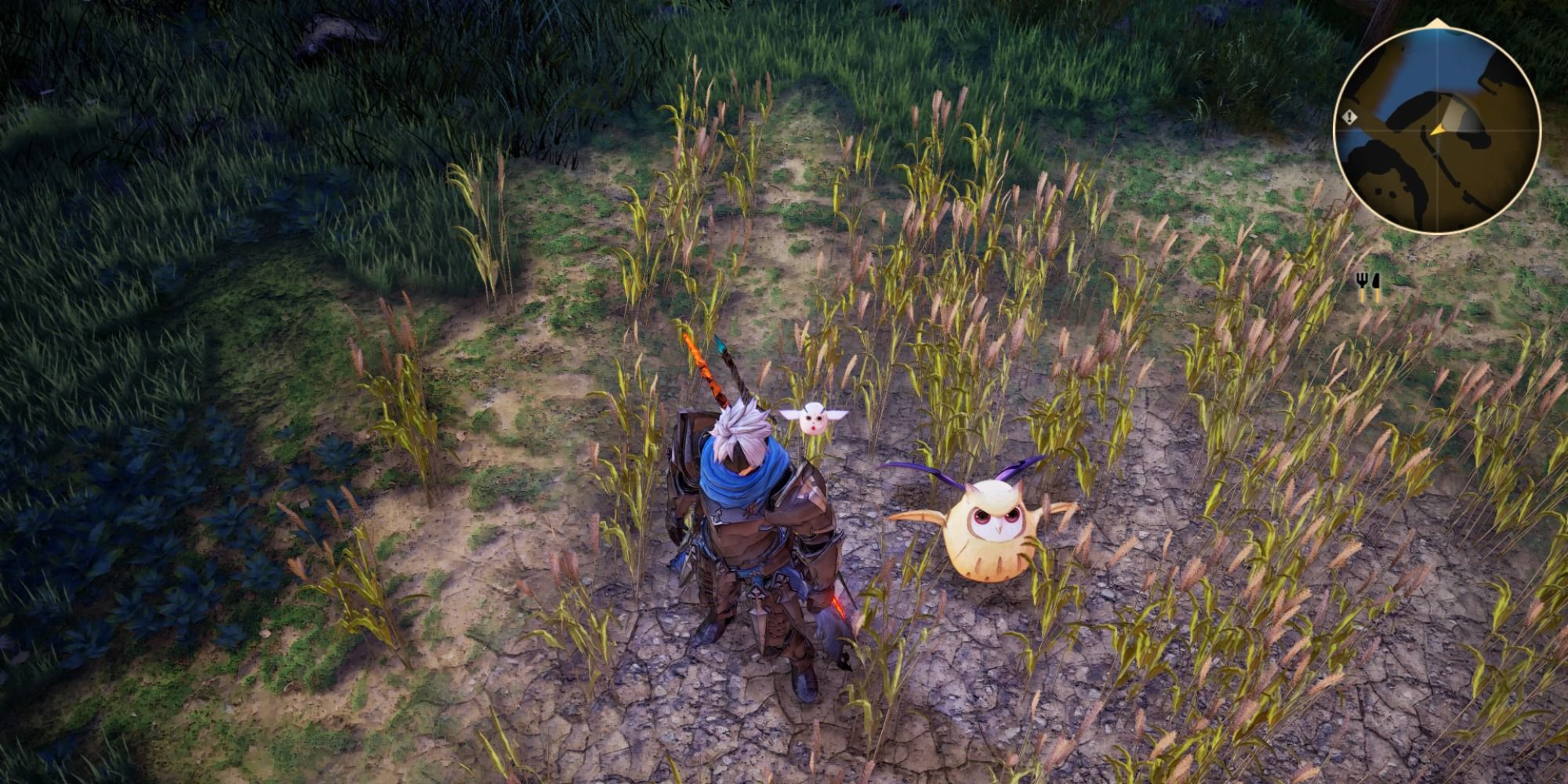 Traslida Highway Owl location in Tales of Arise