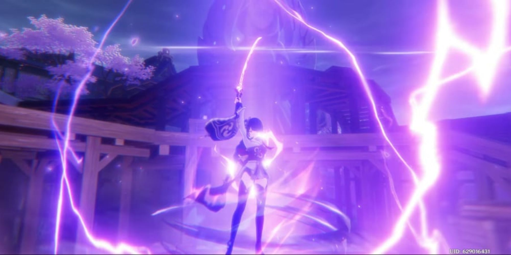 The Raiden Shogun