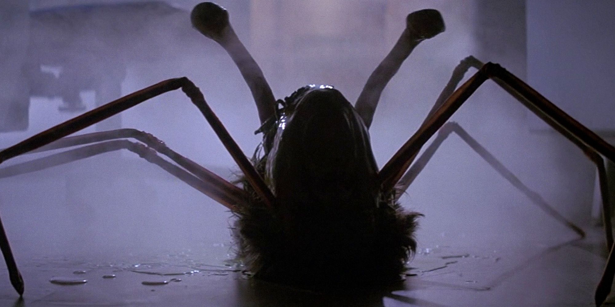 A head on the floor with 6 legs emerging out of it.