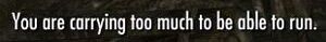 You Are Carrying Too Much Skyrim