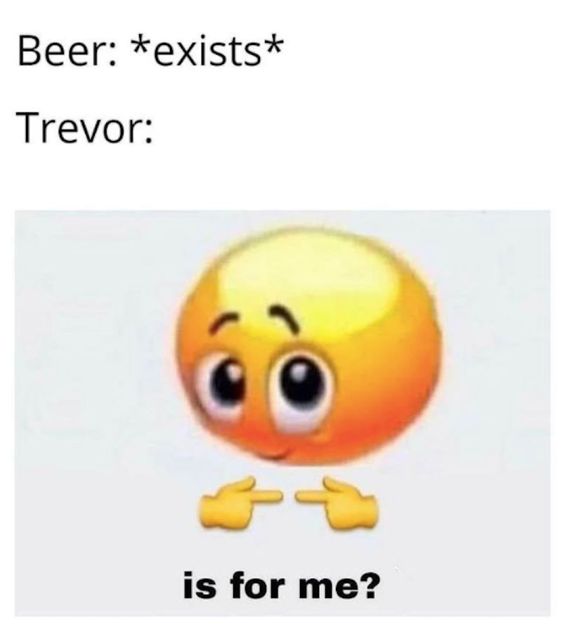 castlevania meme says beer exists, trevor says is it for me.