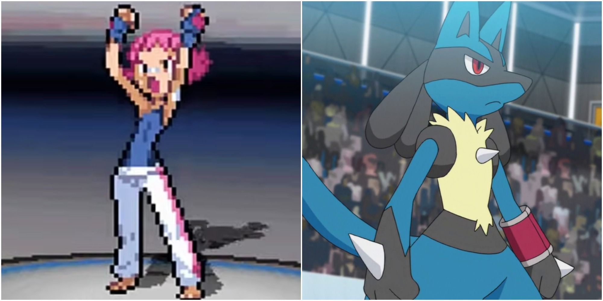 Maylene in Pokemon Black 2 & White 2 and Lucario in the Pokemon anime