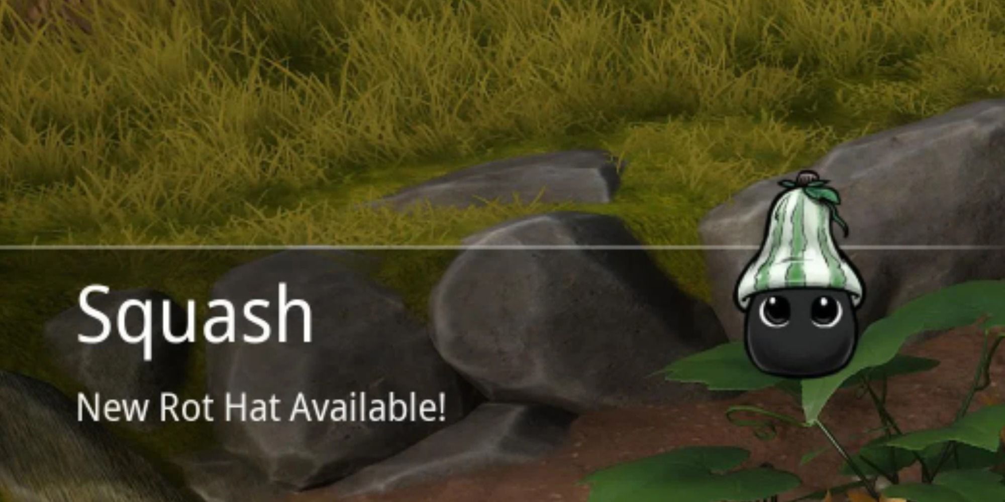 Squash Rot Hat available graphic