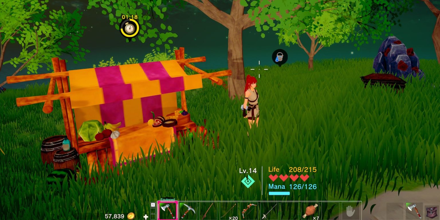 the market stall in craftopia