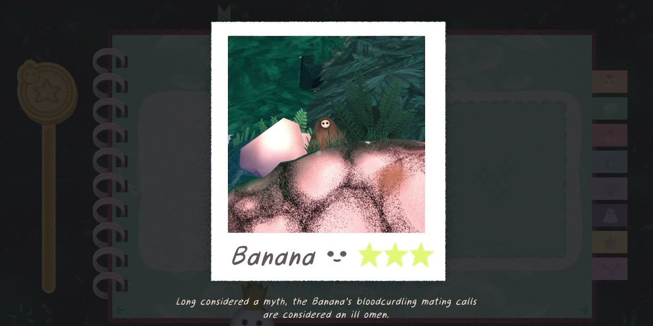 A photo of Banana in the distance, partially obscured by undergrowth and rocks
