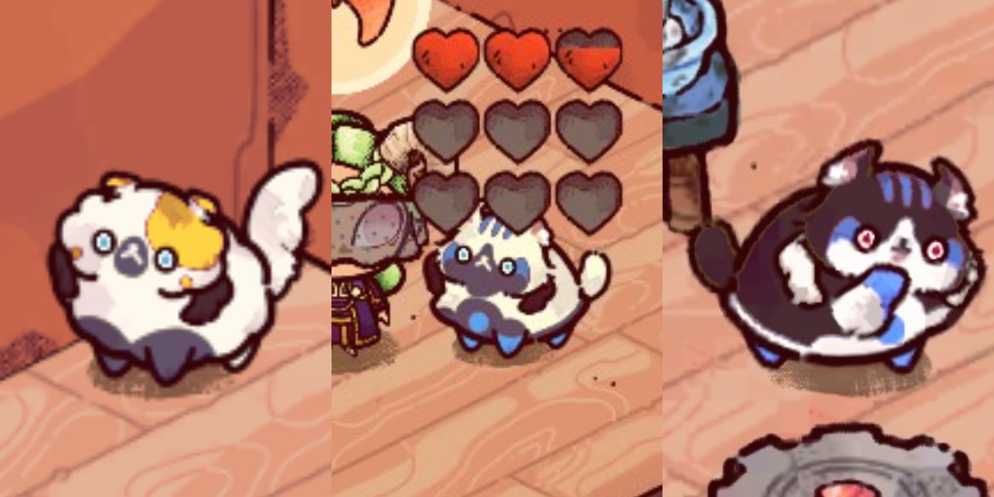 Cozy Grove different types of cats