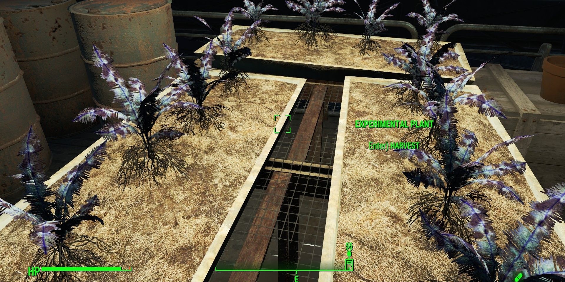 The Experimental Plant found in Fallout 4.