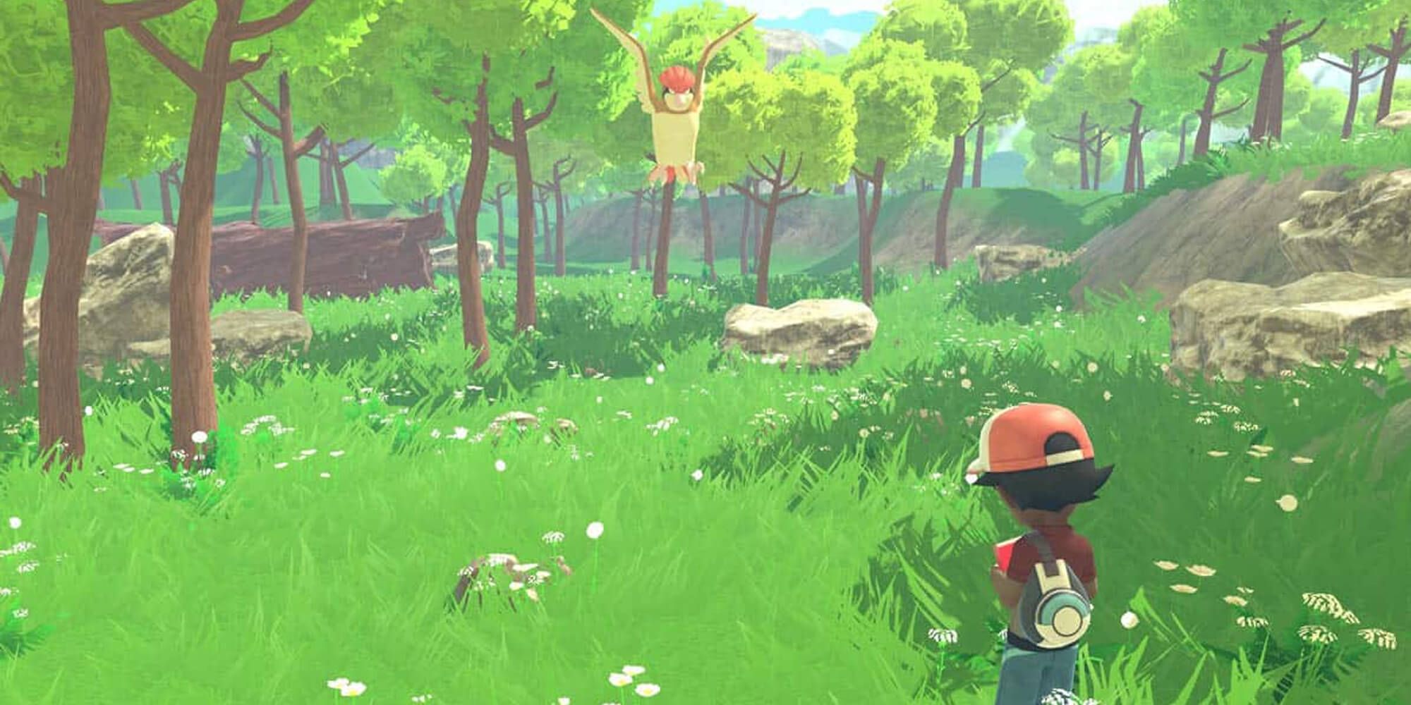 The Hero Trainer Encounters A Pidgey Evolution