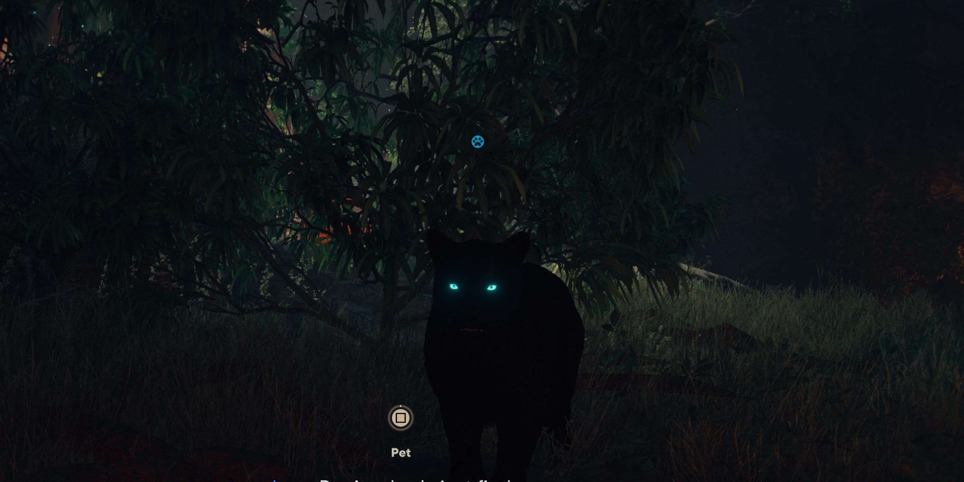 Oluso in Far Cry 6