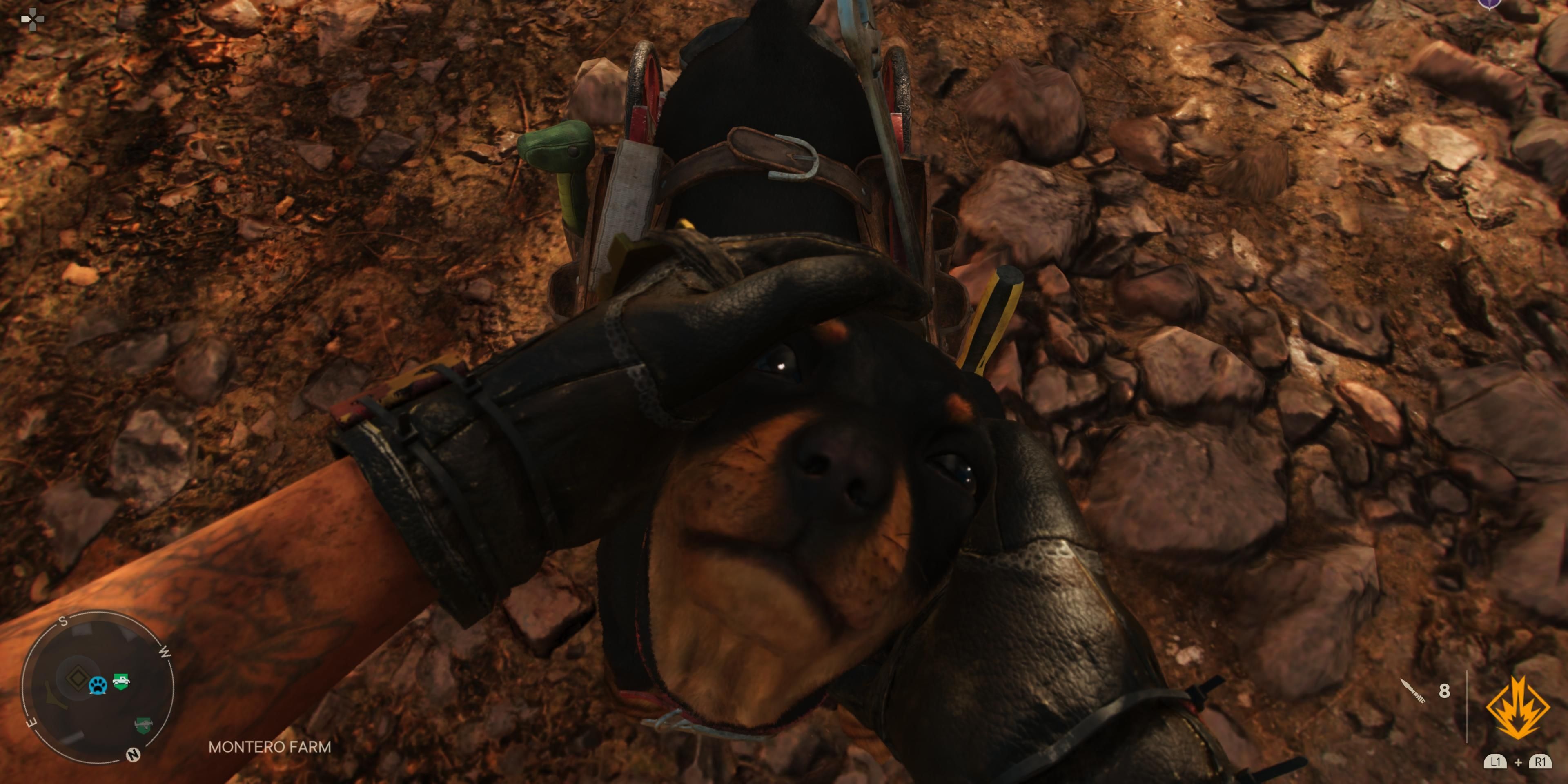Chorizo in Far Cry 6