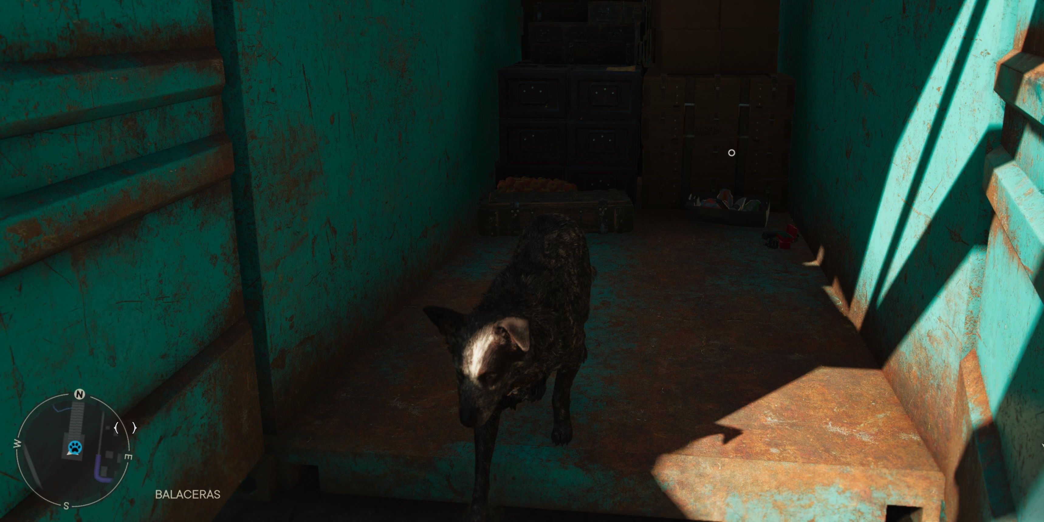 Boom Boom in Far Cry 6