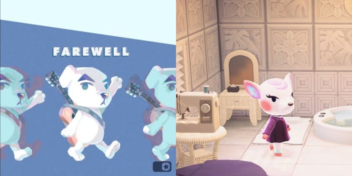 Animal Crossing New Horizons Farewell and Diana