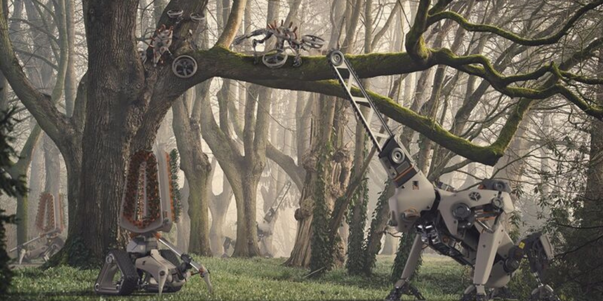 Forest Ranger Druids - Concept Art of the Druids in the Woods