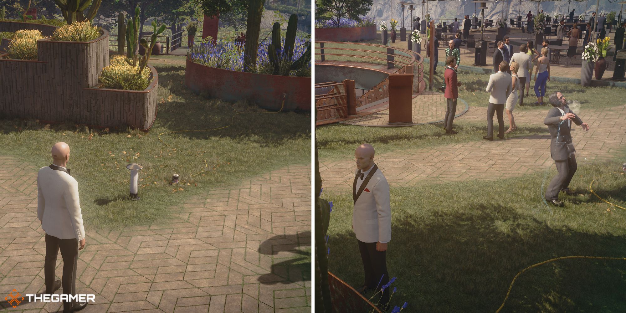 Hitman 3 Envy Contention Level 1 Target
