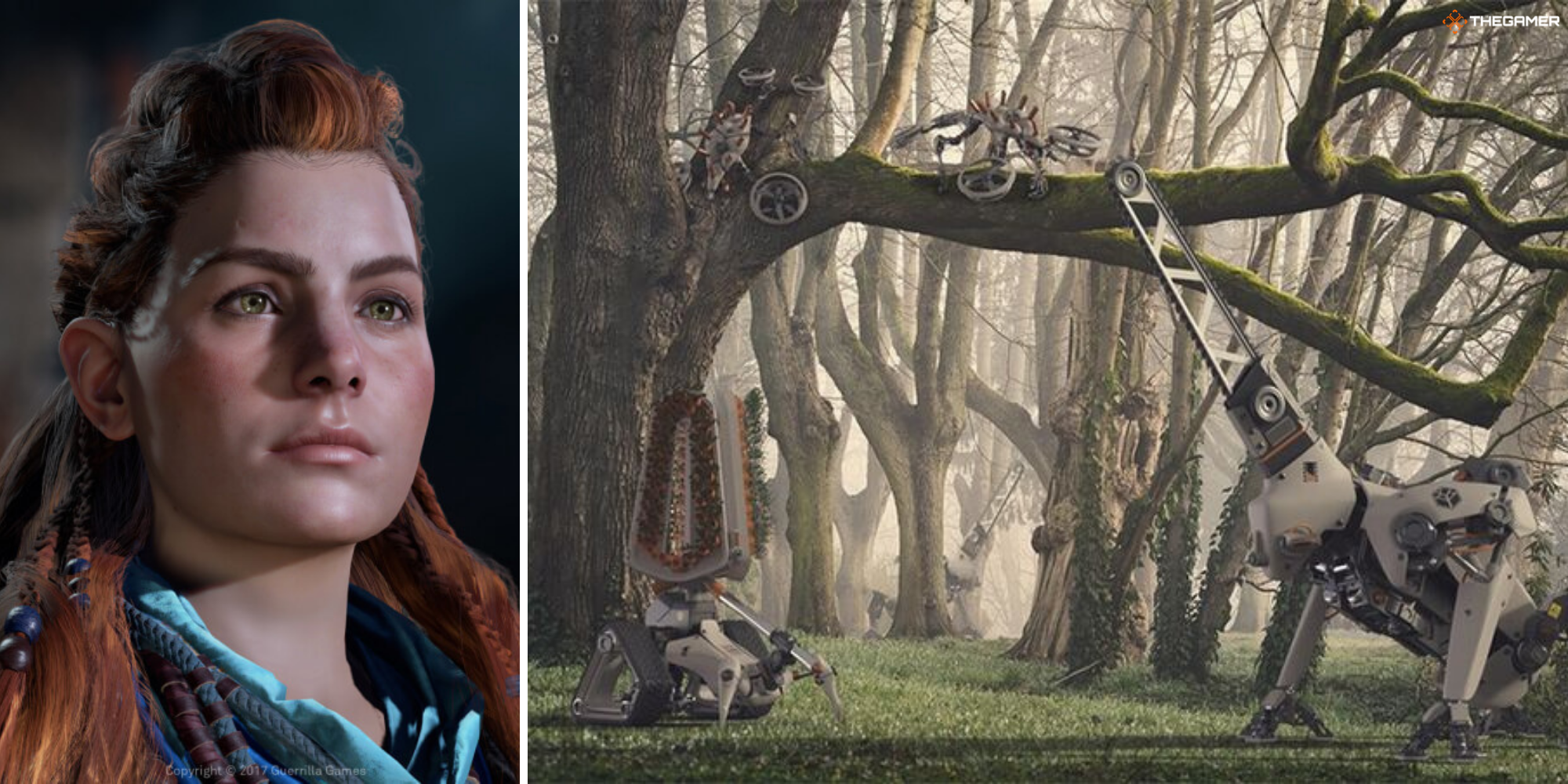 Horizon Zero Dawn's Aloy on left, Forest Druid Rangers on right