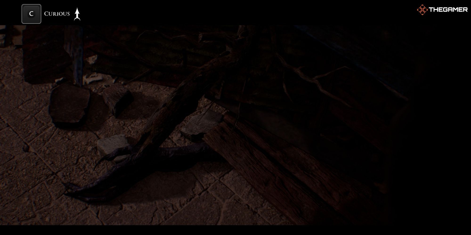 House of Ashes - After The Fall - Salim looking at the creature's hand