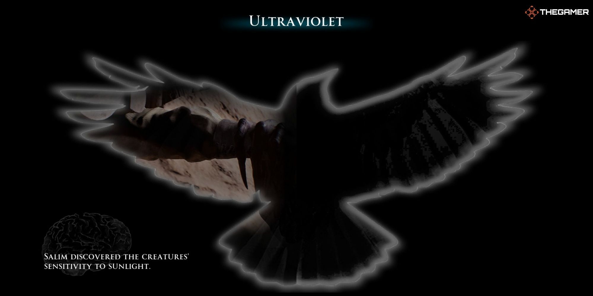 House of Ashes - After The Fall - Ultraviolet Bearing