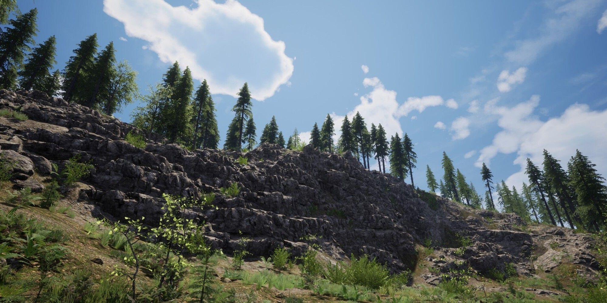 cliff edge with trees on top