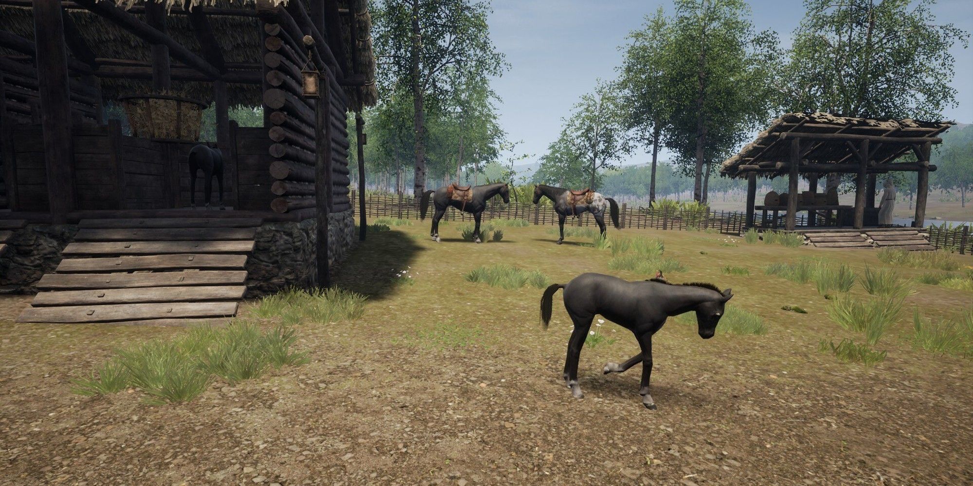 horses in front of stable area