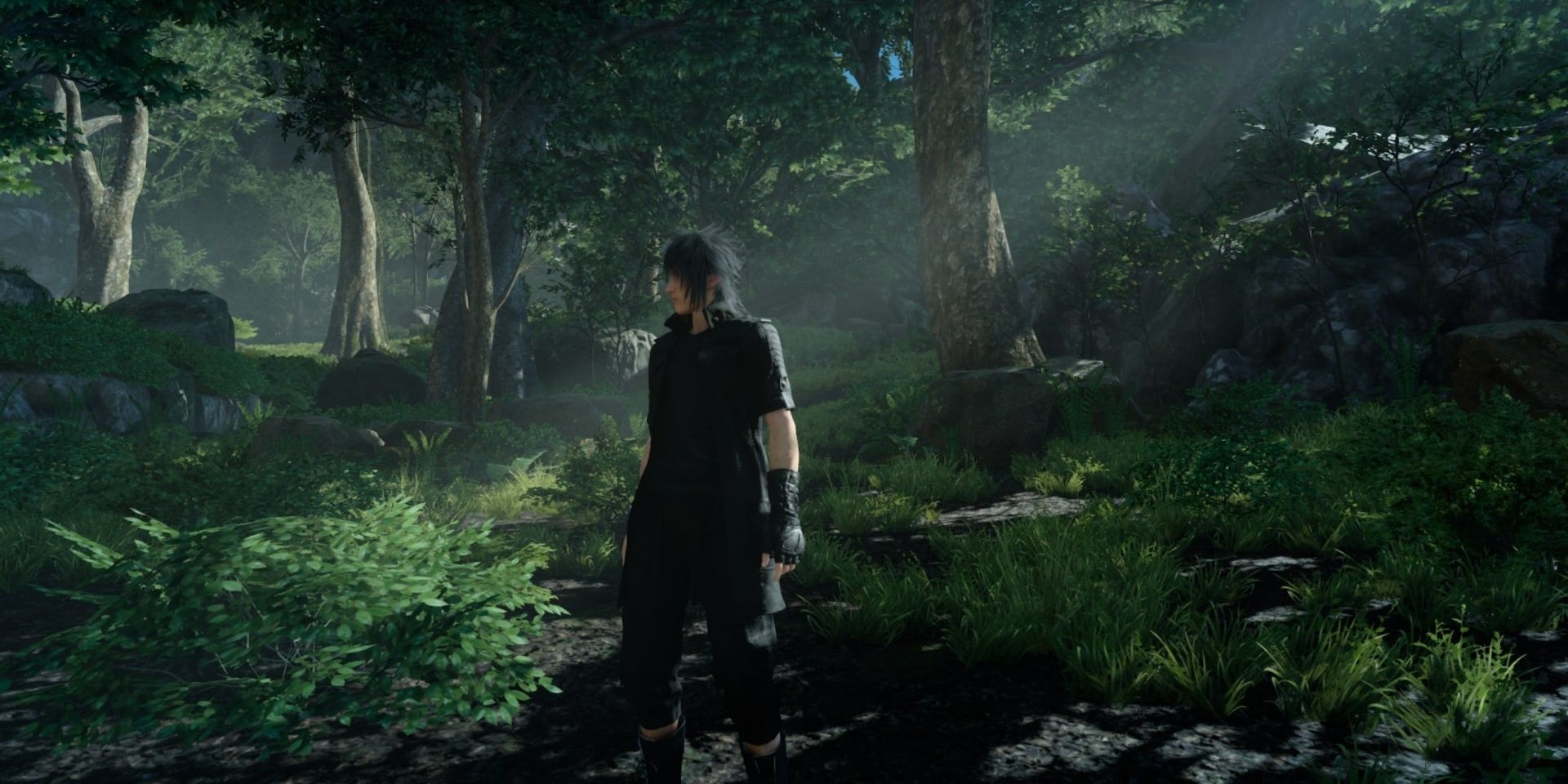 Noctis standing in the center of a well-lit wooded area in the Myrlwood