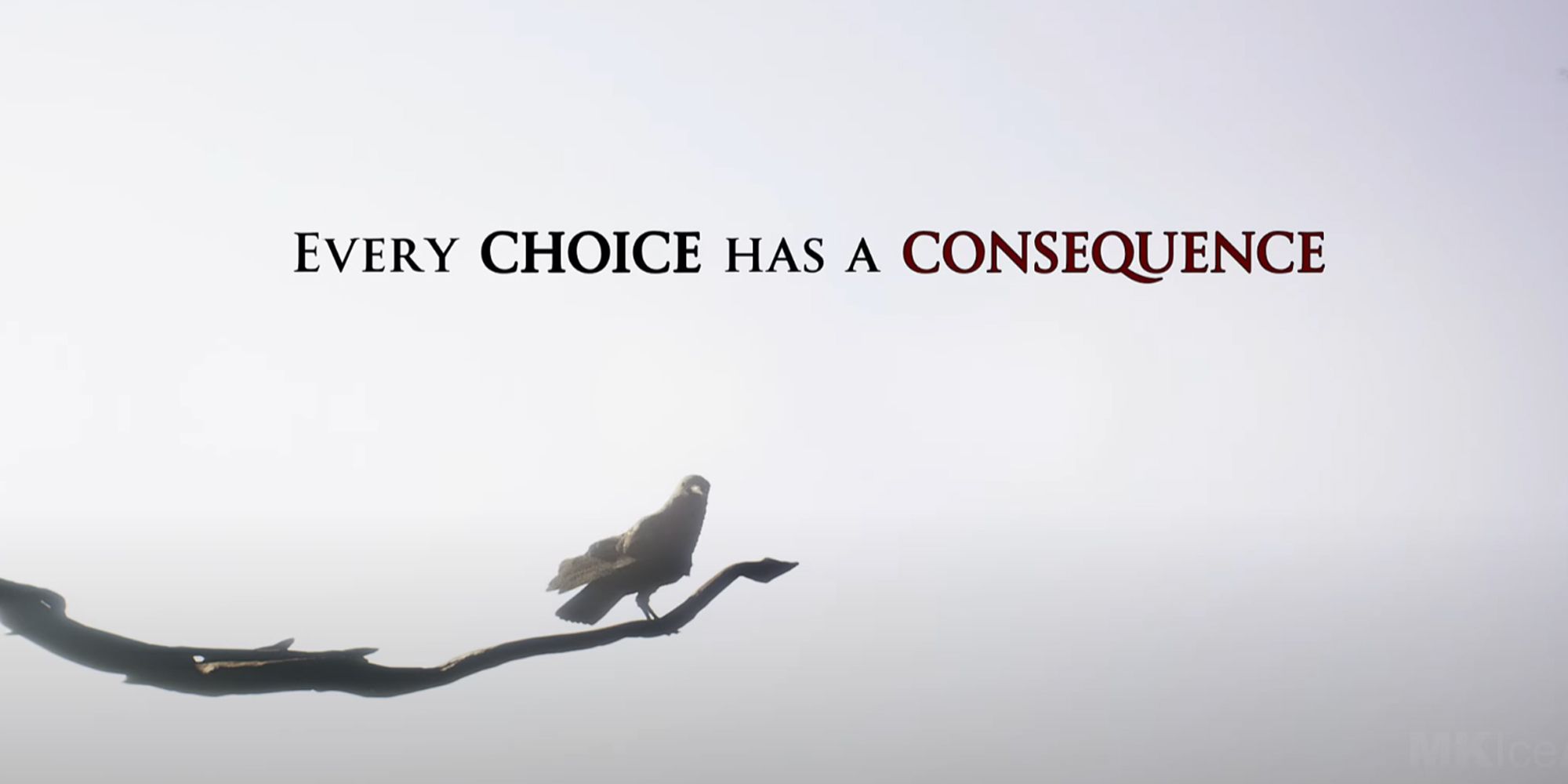 House Of Ashes. Text on screen reading "Every Choice Has A Consequence." Background is grey, with a bird perched on branch in foreground.