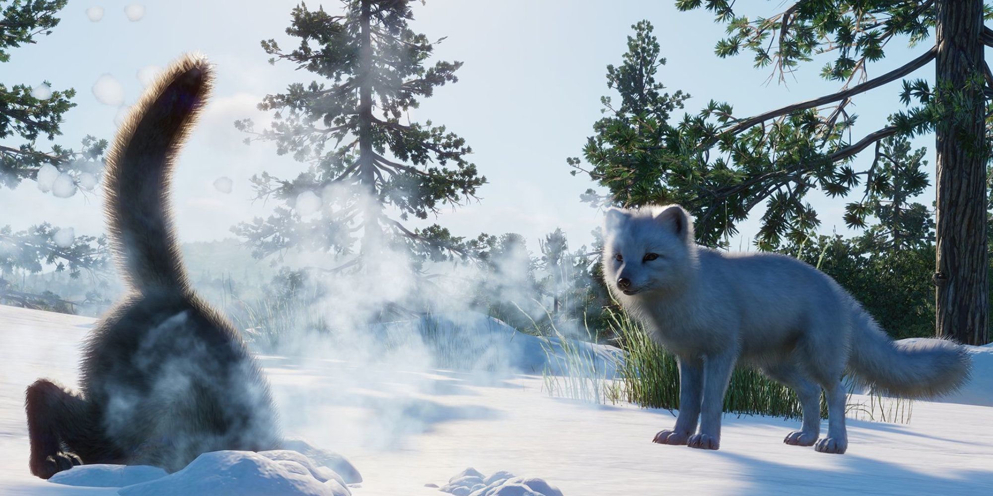 Planet Zoo NA Arctic Fox in snow
