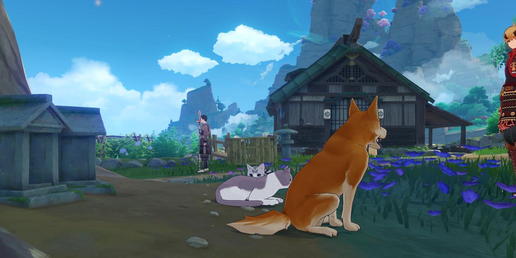 Taking pictures of the stray pets with Thoma.