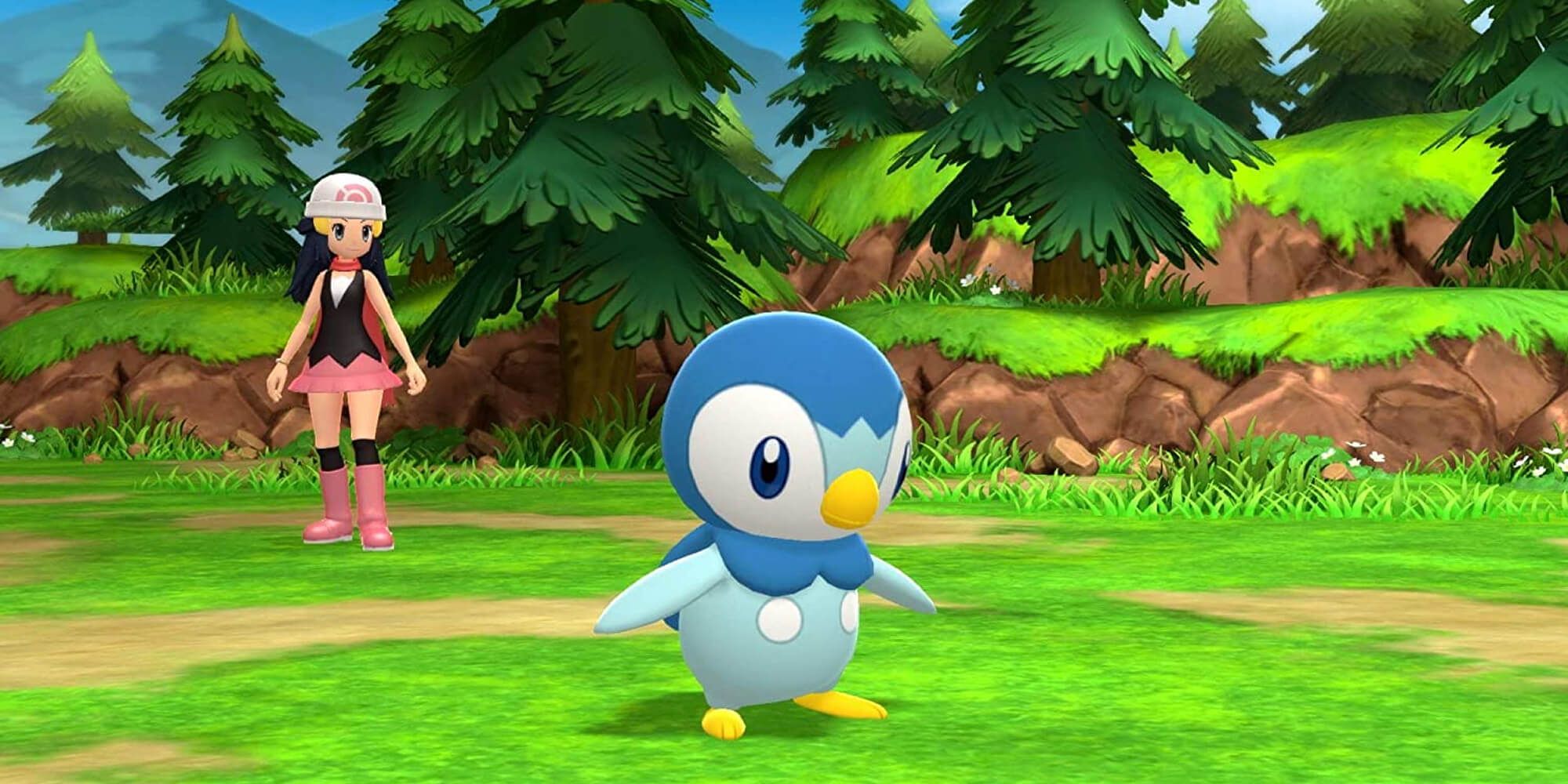 A Trainer Chooses A Piplup