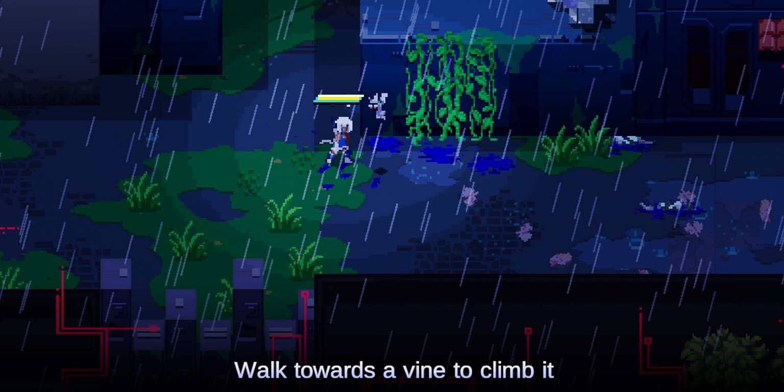 climbing vines in unsighted