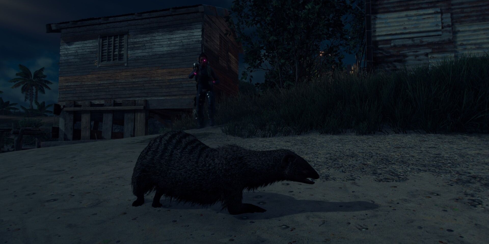 far cry 6 the mongoose and the man 
