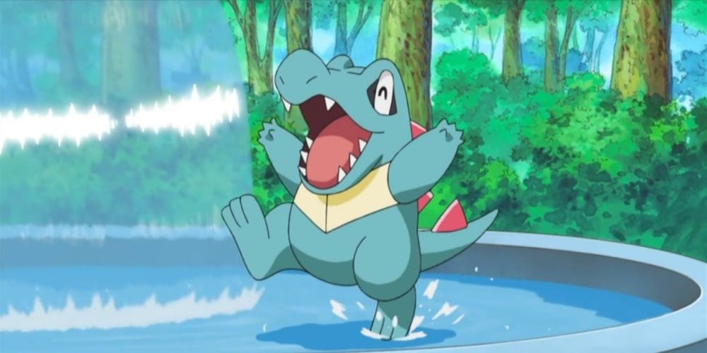 Pokemon Totodile The Big Jaw Pokemon