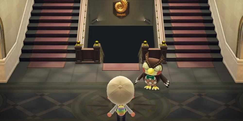 A Screenshot Of Blathers Asleep In The Museum From Animal Crossing Gameplay.