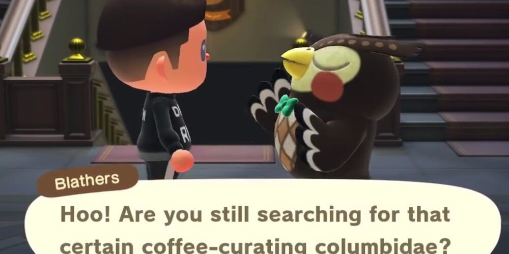 A Player Talking To Blathers Who Asks About Their Progress In Finding NPC Brewster.