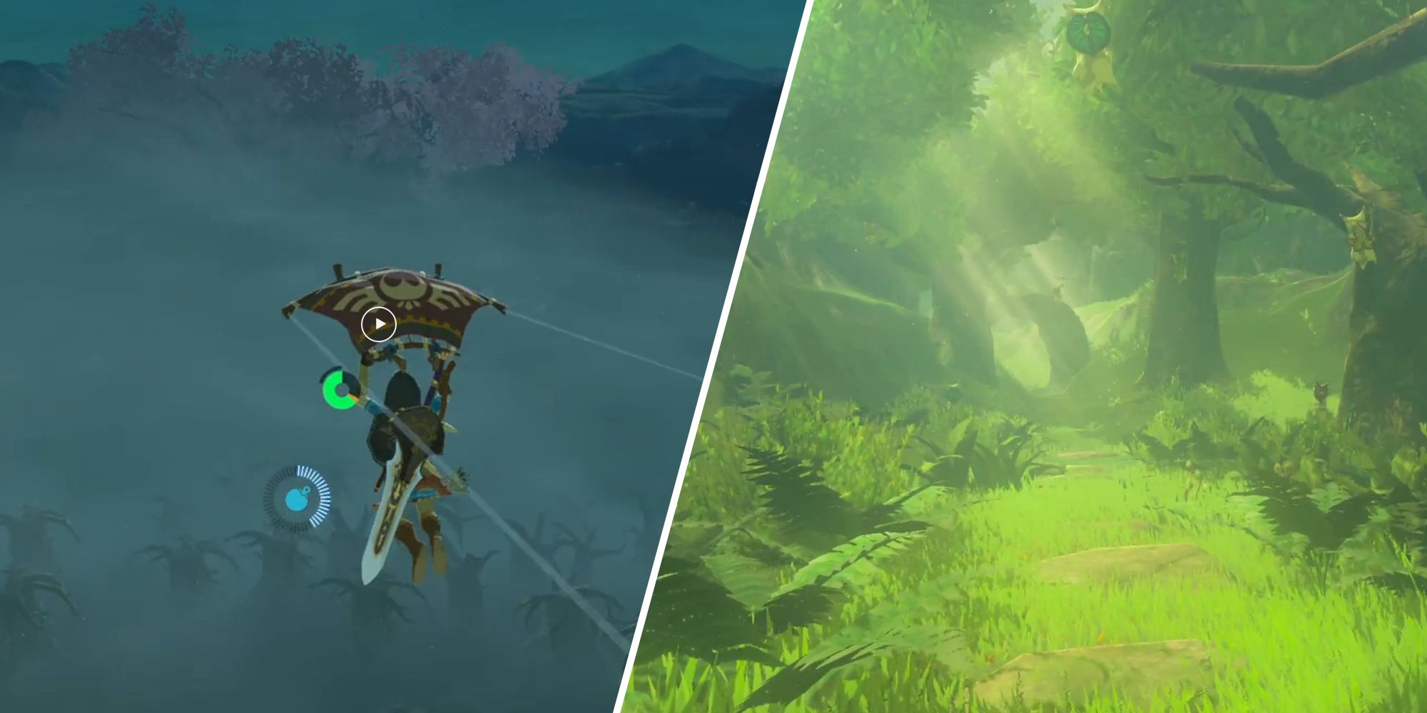 Link gliding over Lost Woods on the left, Korok Forest on the right
