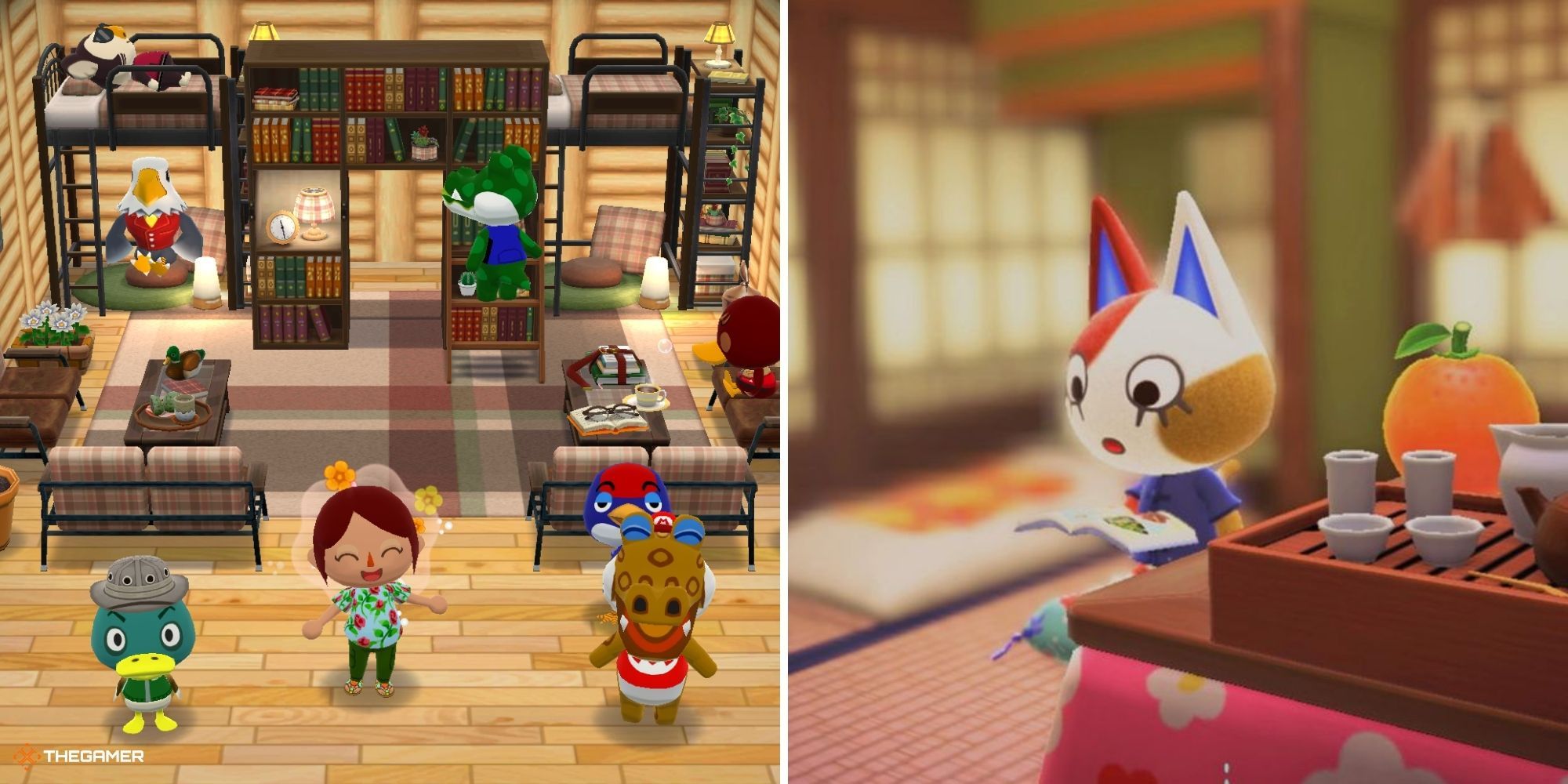 Cabin in Animal Crossing Pocket Camp on left, villager in their vacation home in Animal Crossing New Horizons on right