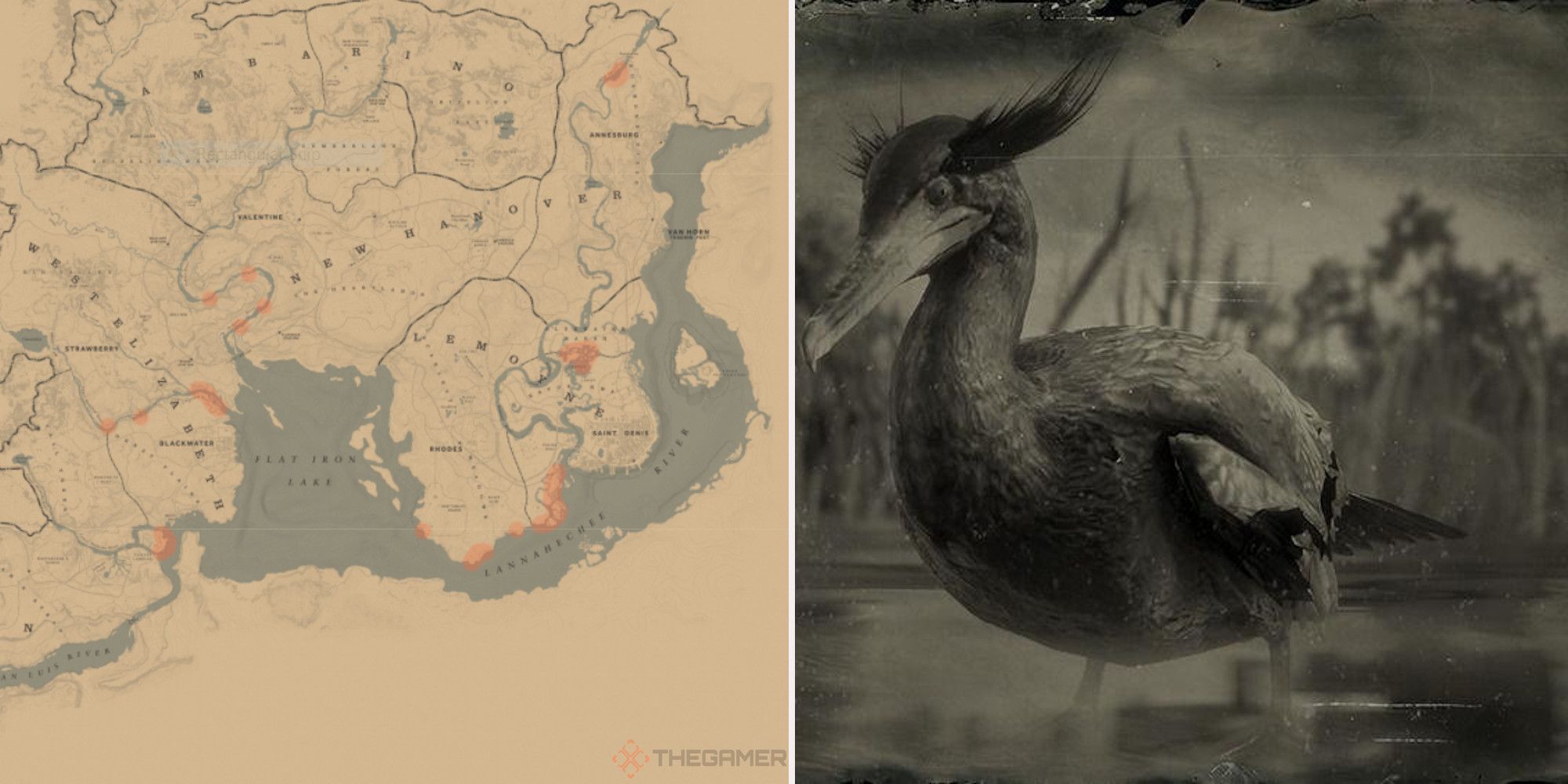 Cormorant locations in Red Dead Redemption 2 Online gtabase