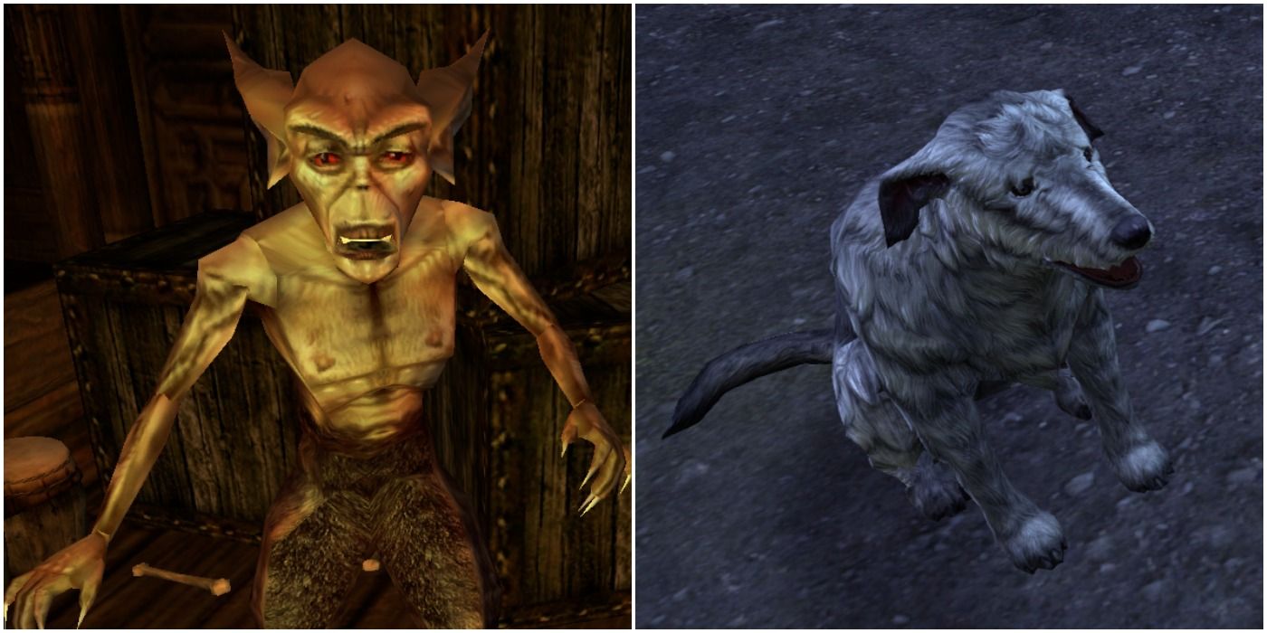 Brbas in his Creeper the scamp form in Morrowind (left) vs. his dog form in Online (right)