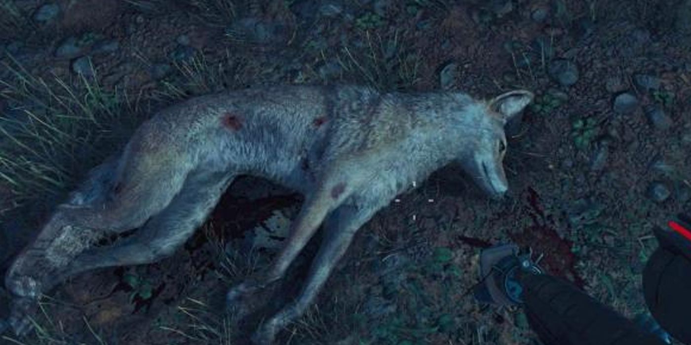 Far Cry 6 animals 5 coyote