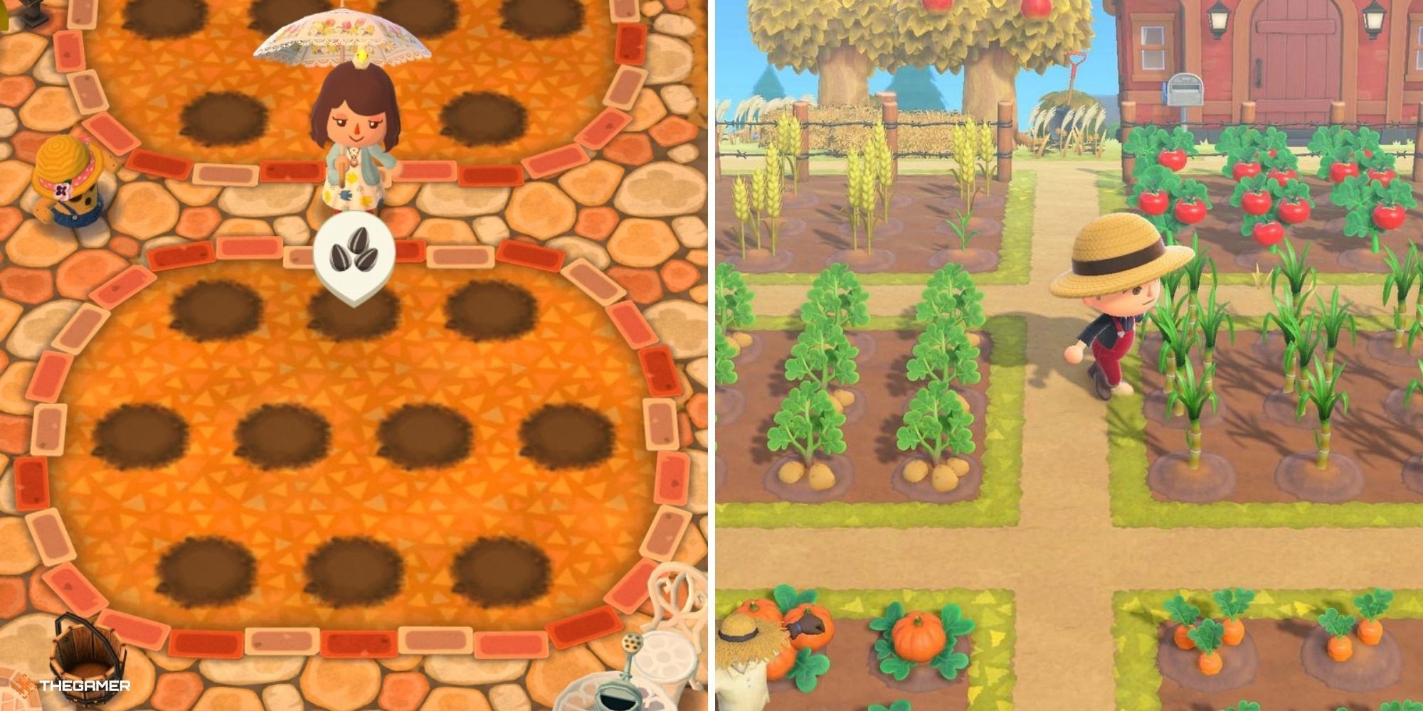 Gardens - Animal Crossing Pocket Camp on left, Animal Crossing New Horizons on right