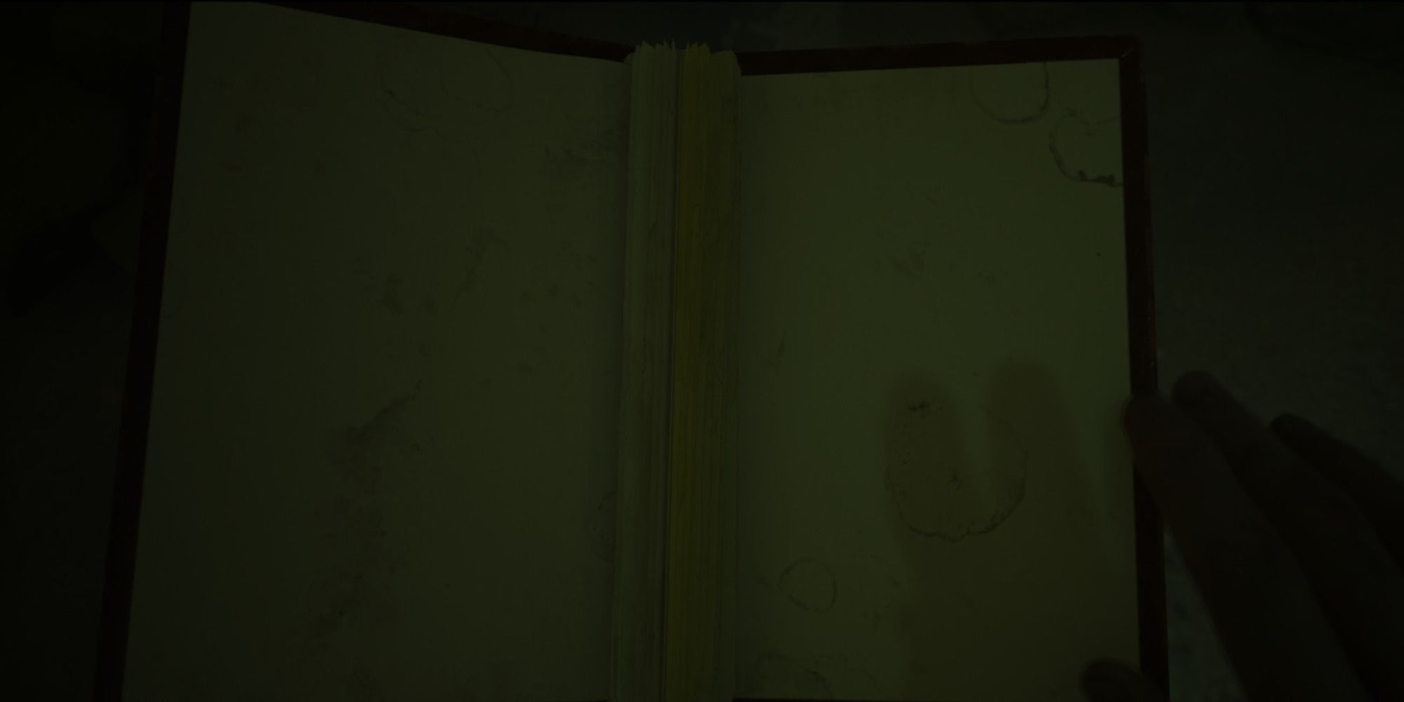 Hodgson’s journal from House of Ashes