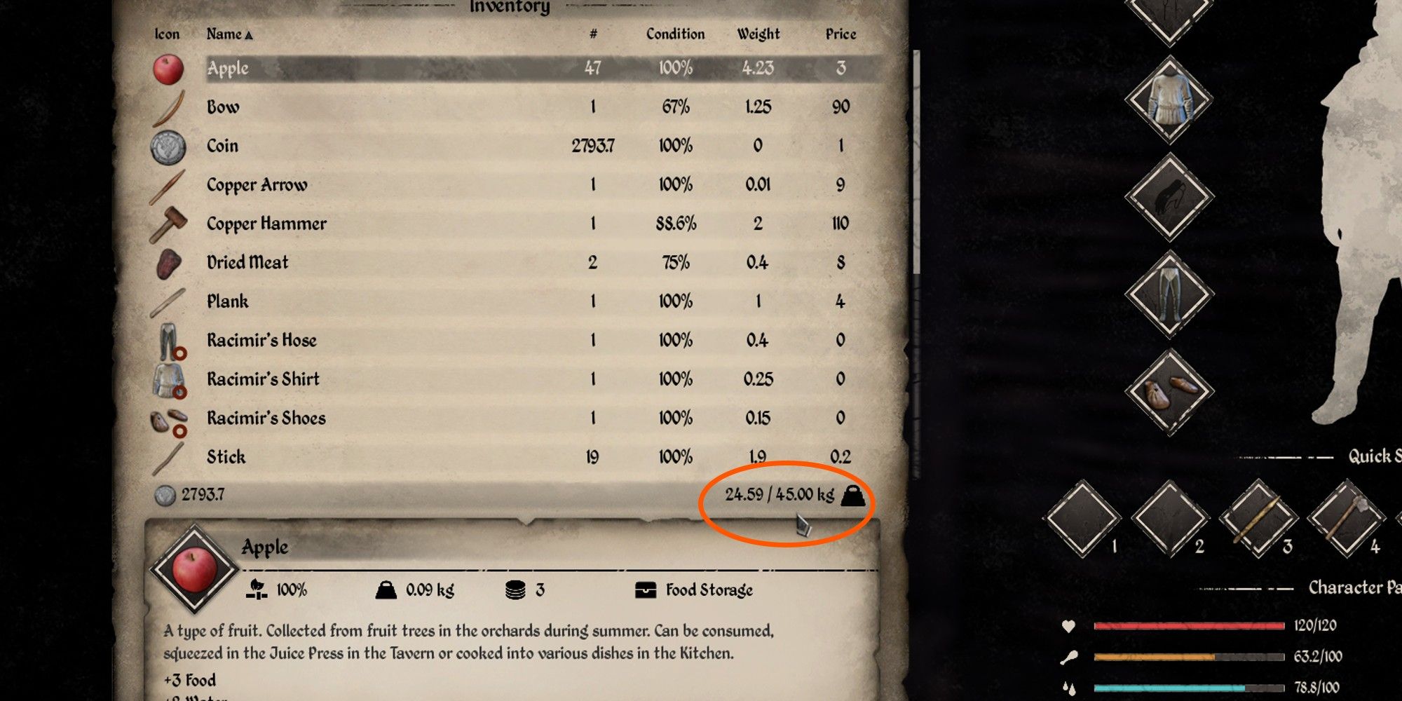 location of carrying capacity indicator in inventory screen